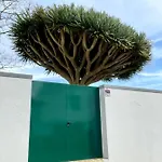 Casa às Seis Hébergement de vacances