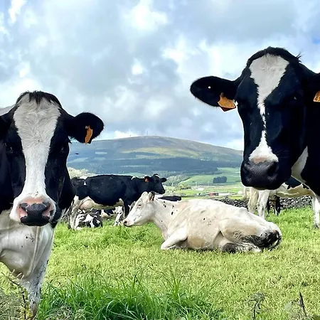 Casa As Seis アングラ・ド・エロイーズモ