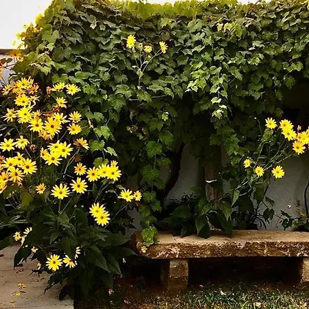 Casa às Seis Angra do Heroísmo