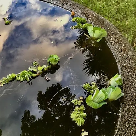 別荘 Casa As Seis *