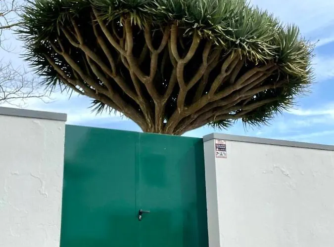 Casa às Seis Hébergement de vacances