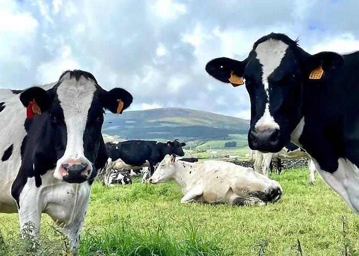 Casa às Seis Angra do Heroísmo