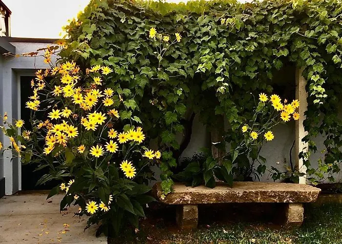 Casa às Seis Angra do Heroísmo