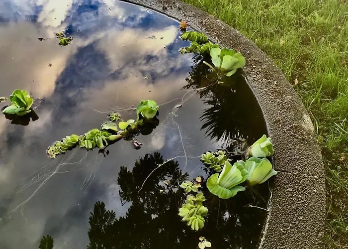 Σπίτι διακοπών Casa As Seis *